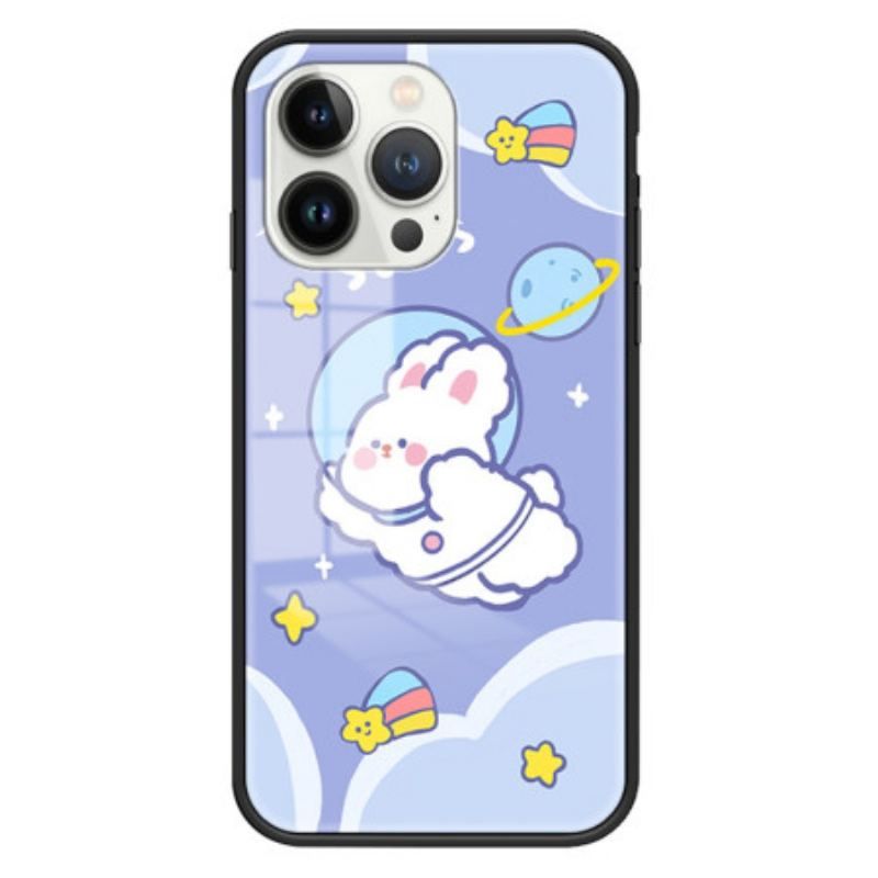 Coque iPhone 15 Pro Verre Trempé Aerospace Rabbit