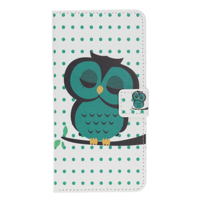 Housse iPhone 11 Hibou Endormi