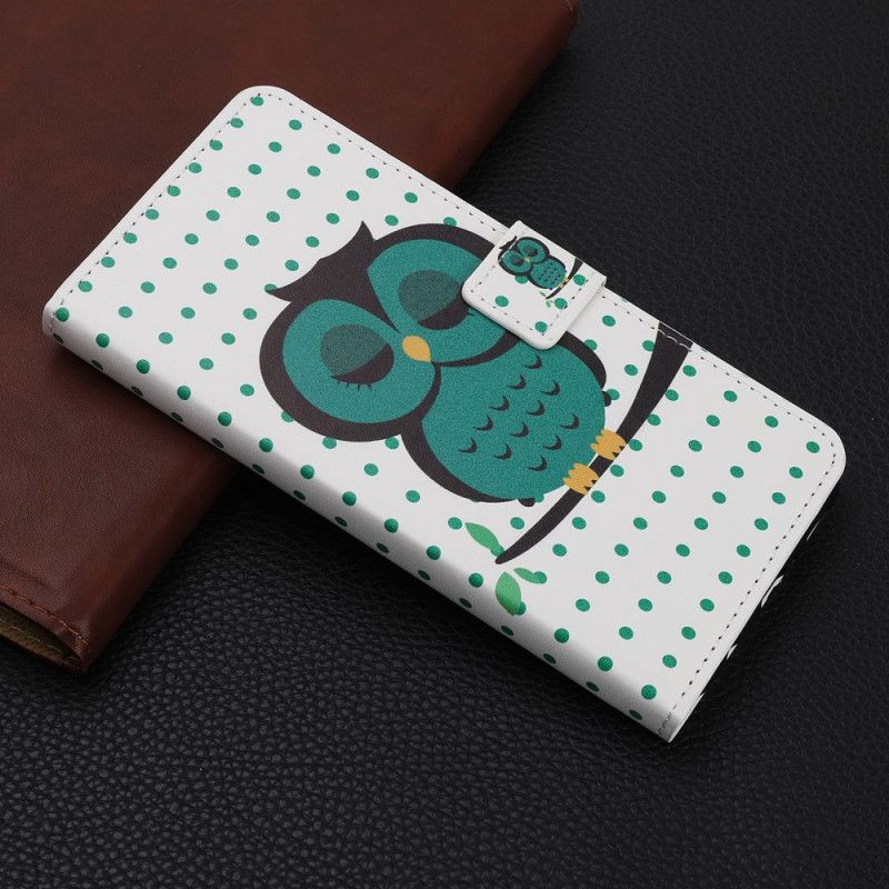 Housse iPhone 11 Hibou Endormi