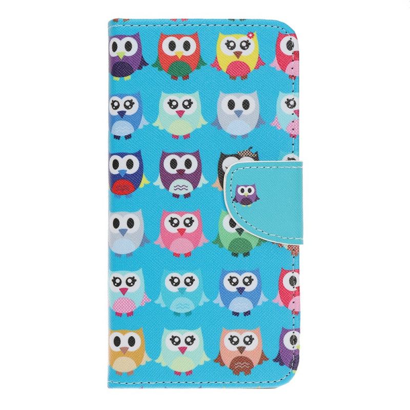 Housse iPhone 12 Mini Multiples Hiboux