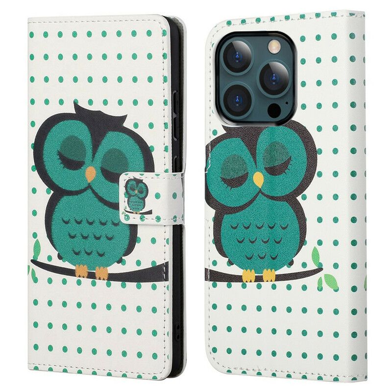 Housse iPhone 13 Pro Max Hibou Endormi