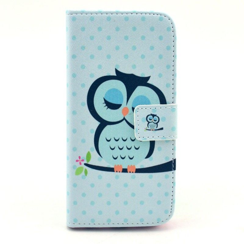 Étui Housse iPhone 6/6s Hibou Endormi