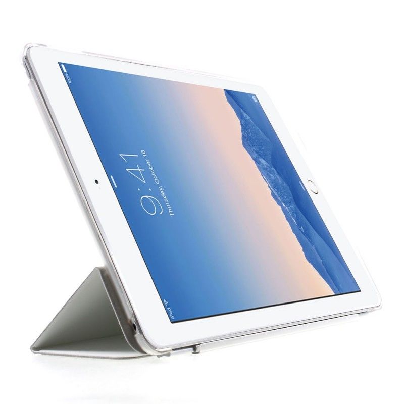 iPad Air 2 Smart Case