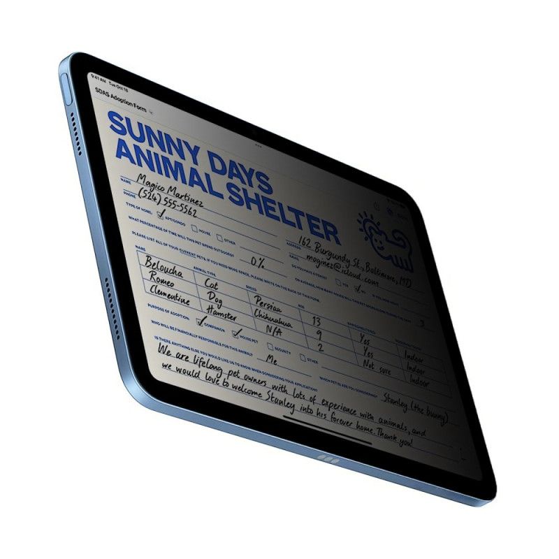 Protection en Verre Trempé Anti-espion pour Écran iPad (2025) / 10.9 (2022)