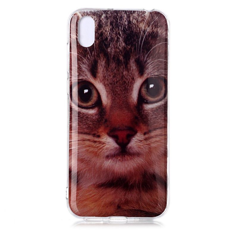 Coque Huawei Y5 2019 / Honor 8s Mon Chaton