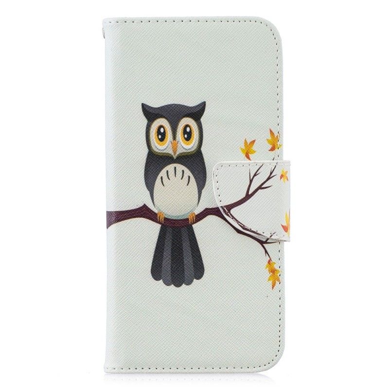 Housse Honor 10 Lite / Huawei P Smart 2019 Hibou Perché Sur La Branche