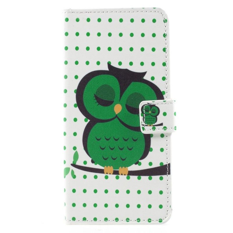 Housse Huawei Mate 10 Pro Hibou Endormi