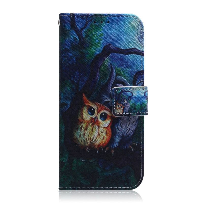 Housse Huawei P Smart Pro / Honor 9x Pro Peinture De Hiboux