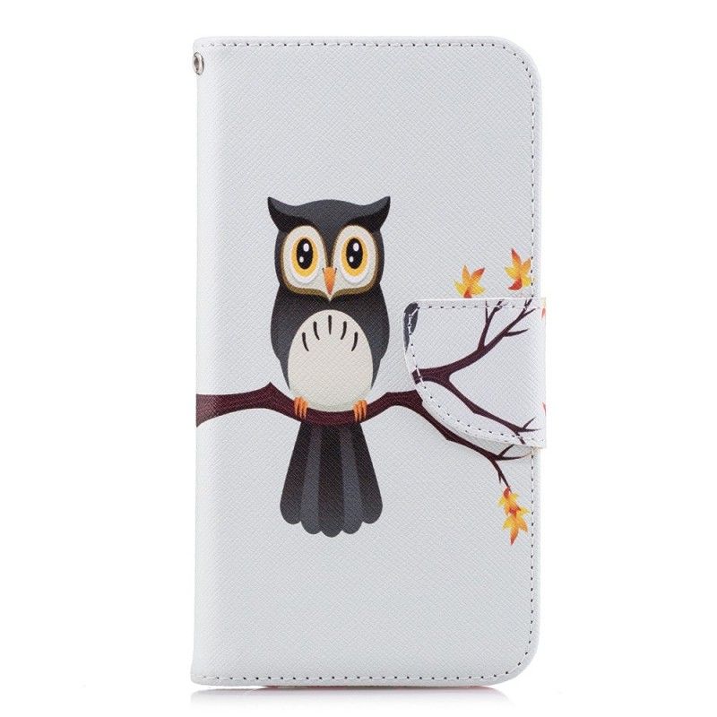 Housse Huawei P20 Lite Hibou Perché Sur La Branche