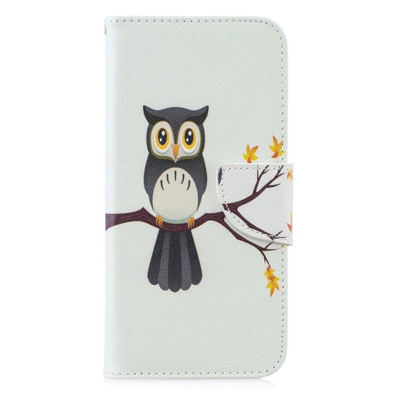 Housse Huawei P30 Lite Hibou Perché Sur La Branche