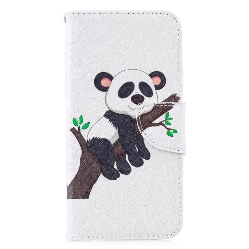 Housse Huawei P30 Lite Panda Paresseux