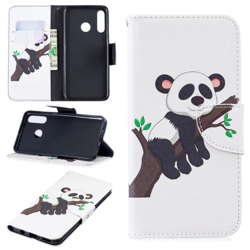 Housse Huawei P30 Lite Panda Paresseux