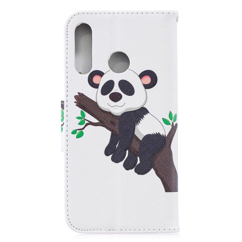 Housse Huawei P30 Lite Panda Paresseux