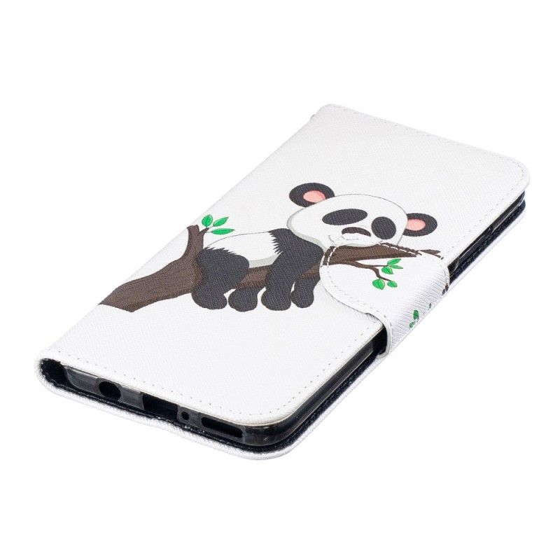 Housse Huawei P30 Lite Panda Paresseux