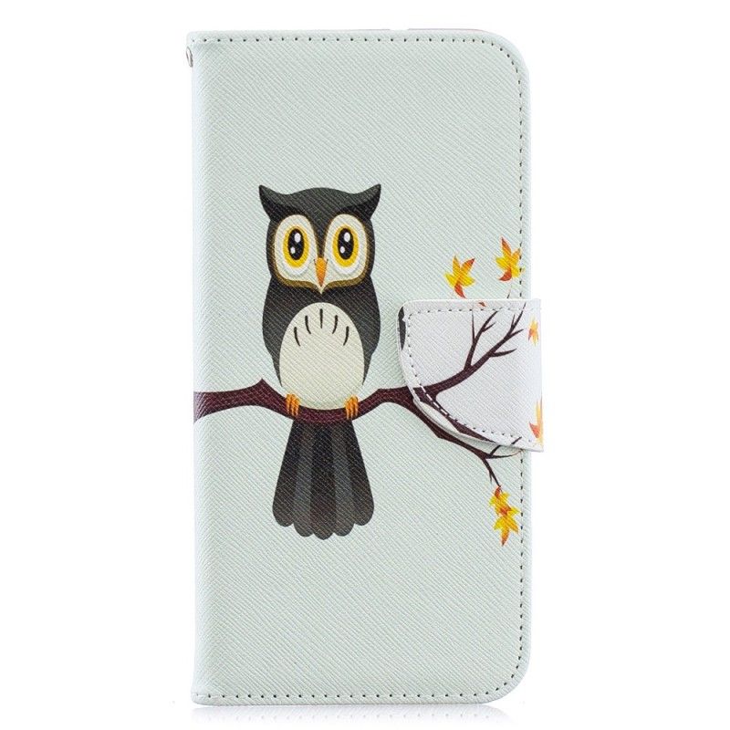 Housse Huawei Y6 2019 Hibou Perché Sur La Branche