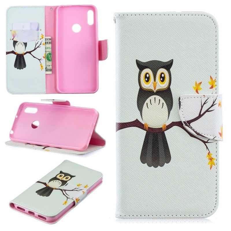 Housse Huawei Y6 2019 Hibou Perché Sur La Branche