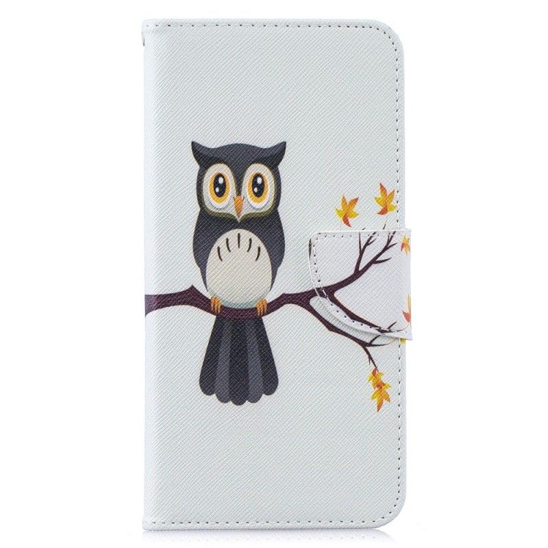 Housse Huawei Y7 2019 Hibou Perché Sur La Branche