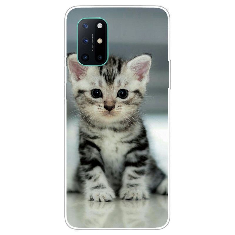 Coque Oneplus 8t Chaton Chaton