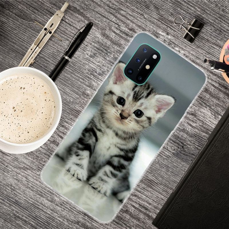 Coque Oneplus 8t Chaton Chaton