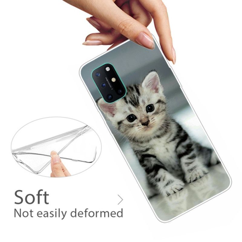 Coque Oneplus 8t Chaton Chaton