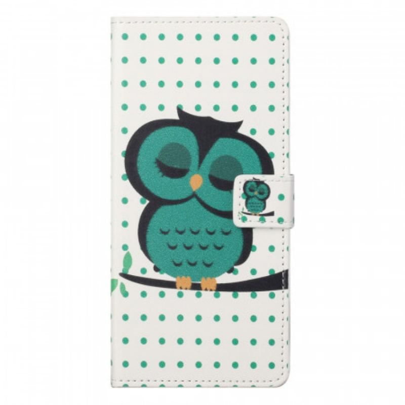 Housse OnePlus Nord CE 2 5G Oiseau Endormi