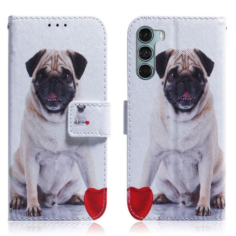 Housse Moto G200 5G Pug Dog