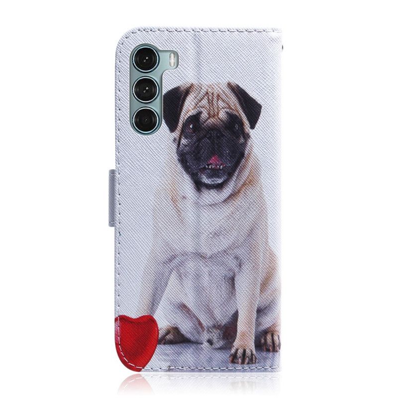 Housse Moto G200 5G Pug Dog