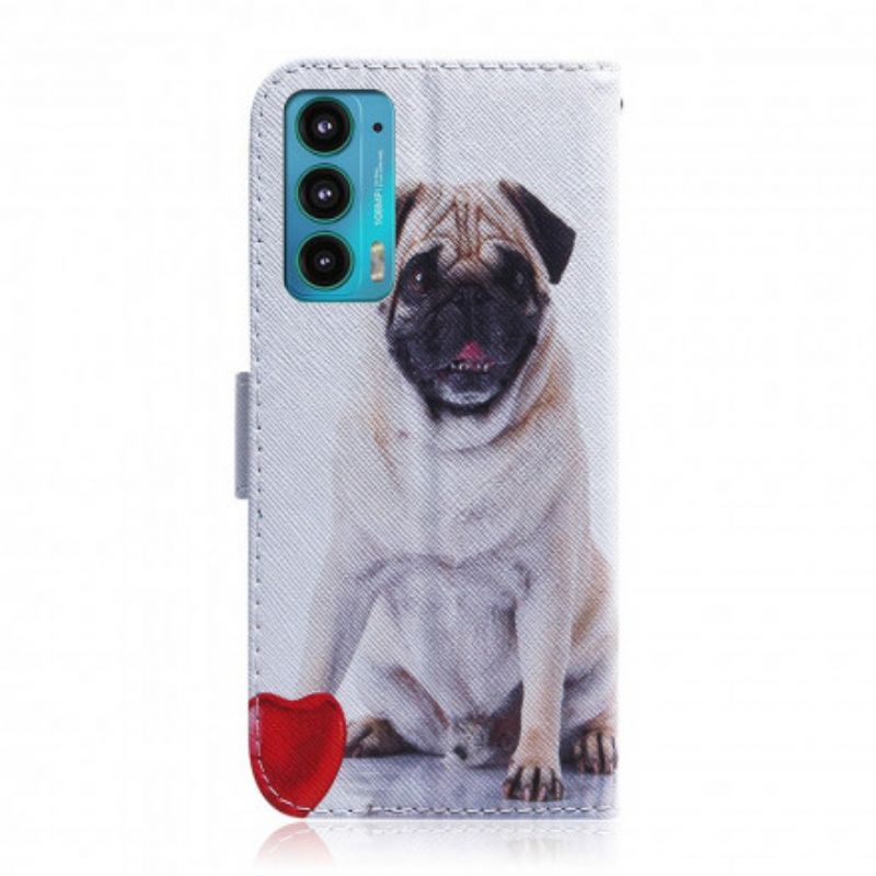 Housse Pour Motorola Edge 20 Pug Dog