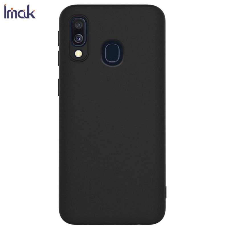 Coque Samsung Galaxy A40 Imak Givrée