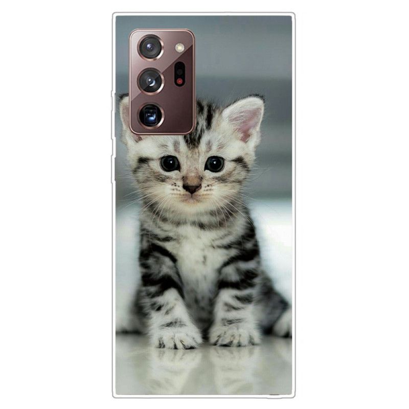 Coque Samsung Galaxy Note 20 Ultra Chaton Chaton