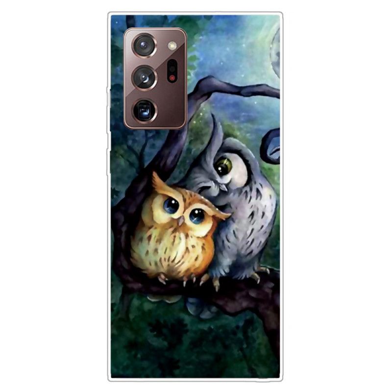 Coque Samsung Galaxy Note 20 Ultra Peinture Hiboux