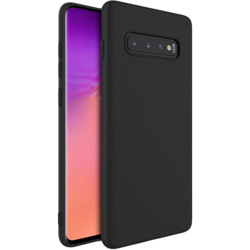 Coque Samsung Galaxy S10 Imak Givré