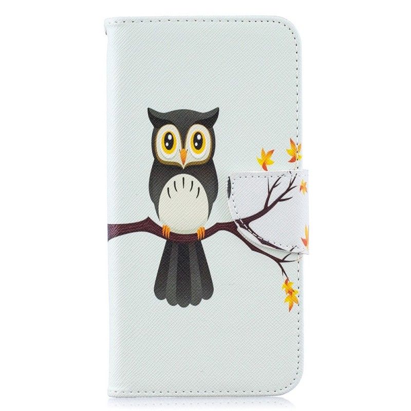 Housse Samsung Galaxy A10 Hibou Perché Sur La Branche