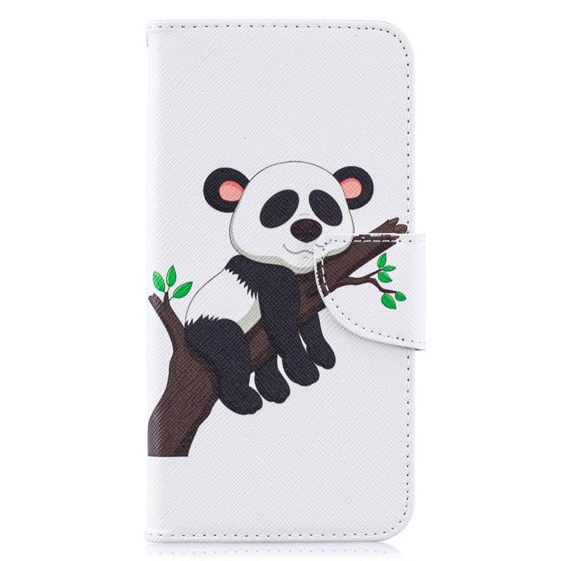 Housse Samsung Galaxy A10 Panda Paresseux