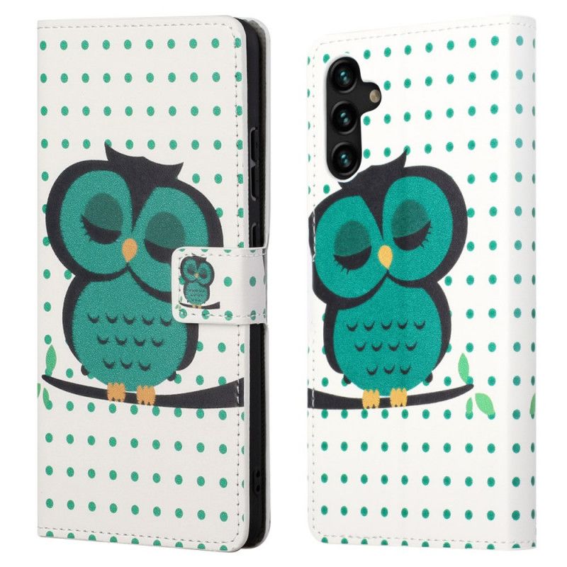 Housse Samsung Galaxy A13 5G Hibou Endormi