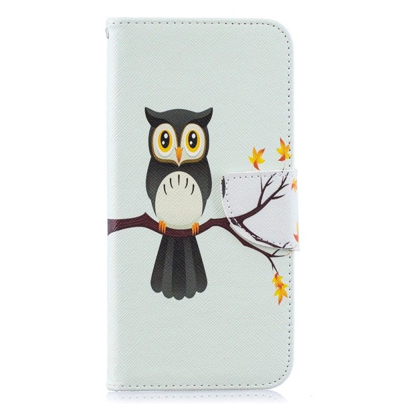 Housse Samsung Galaxy A50 Hibou Perché Sur La Branche