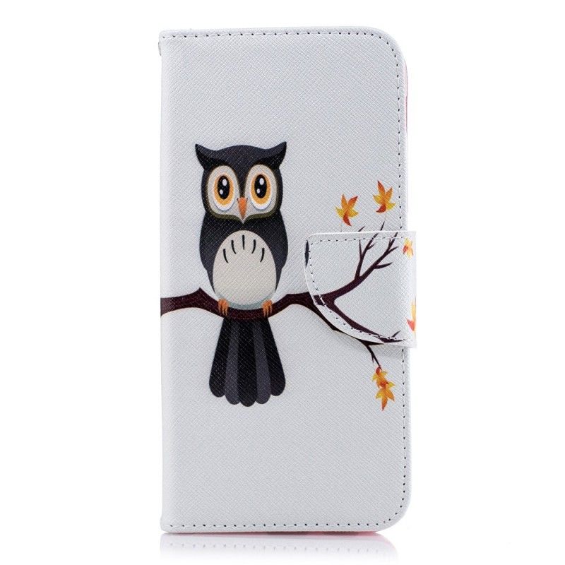 Housse Samsung Galaxy A6 Hibou Perché Sur La Branche