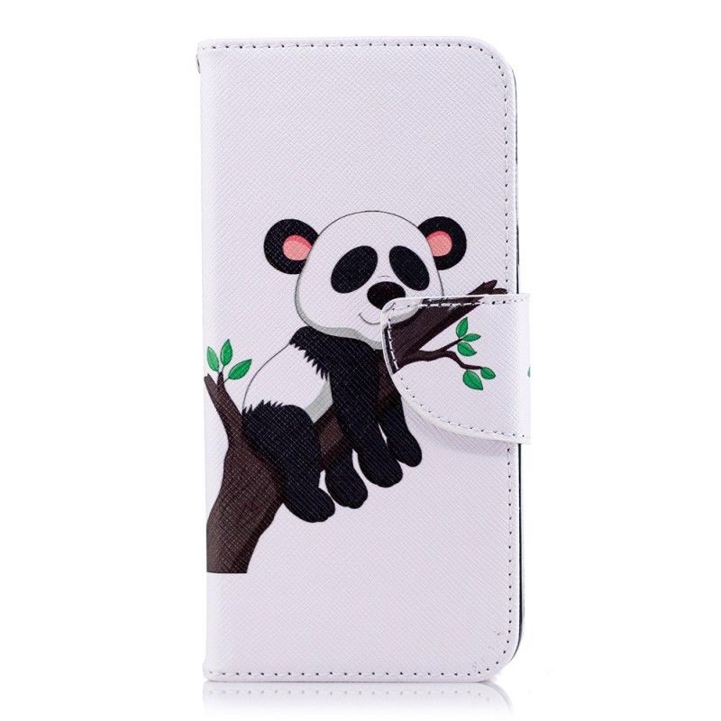 Housse Samsung Galaxy A6 Panda Paresseux