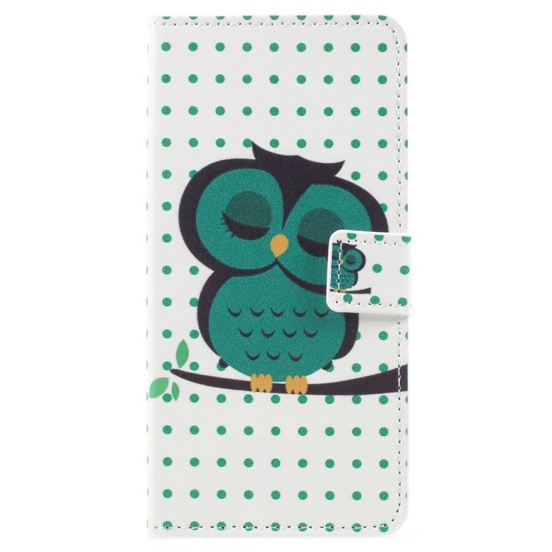 Housse Samsung Galaxy A8 2018 Hibou Endormi