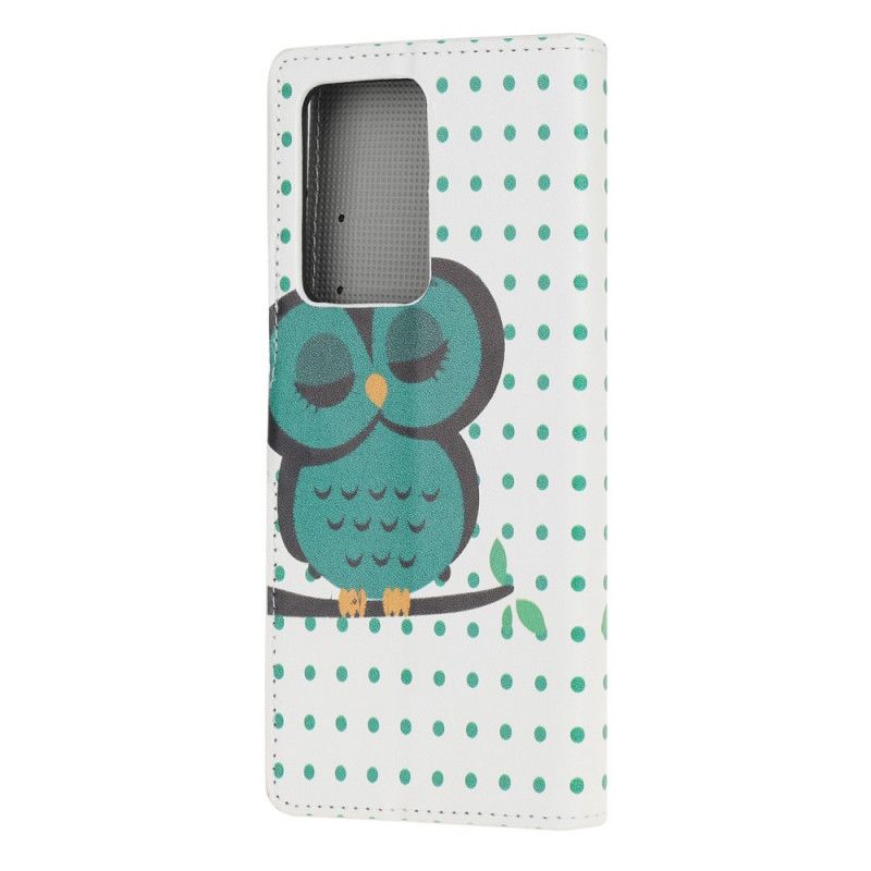 Housse Samsung Galaxy Note 20 Ultra Hibou Endormi