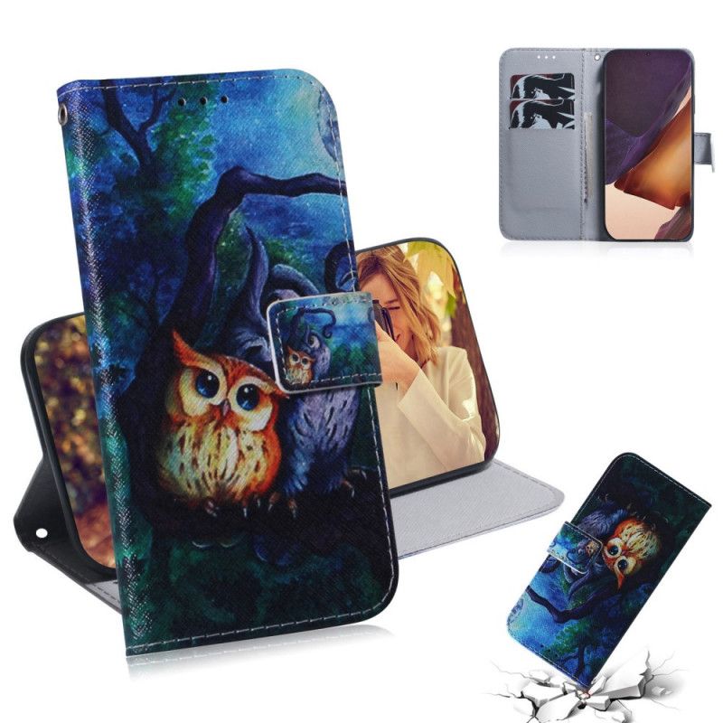 Housse Samsung Galaxy Note 20 Ultra Peinture De Hiboux