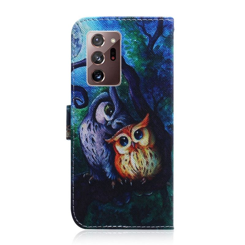 Housse Samsung Galaxy Note 20 Ultra Peinture De Hiboux