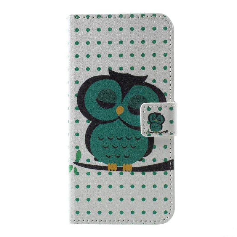 Housse Samsung Galaxy S10e Hibou Endormi