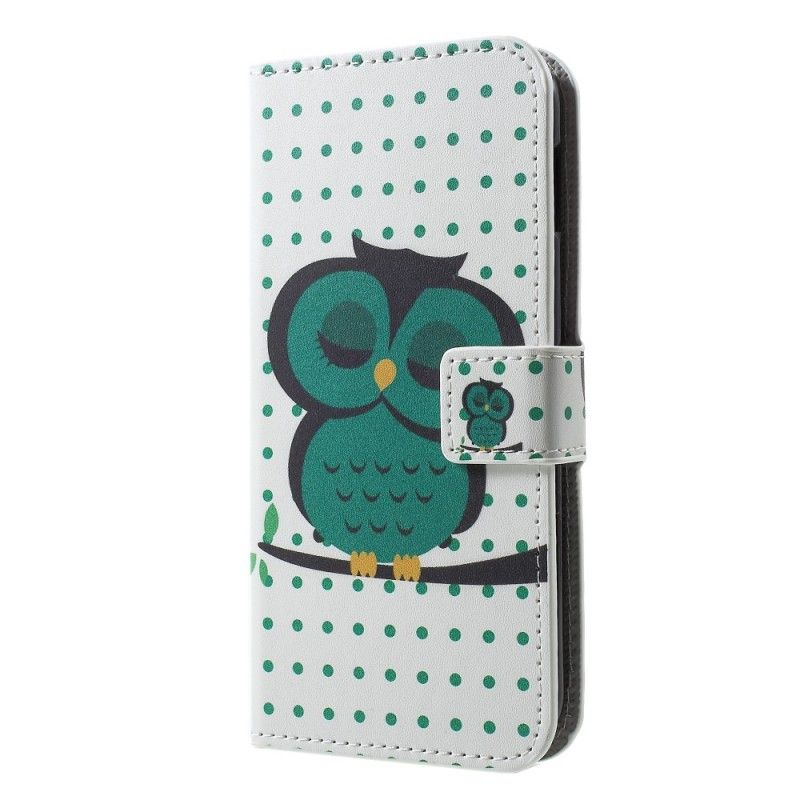 Housse Samsung Galaxy S10e Hibou Endormi