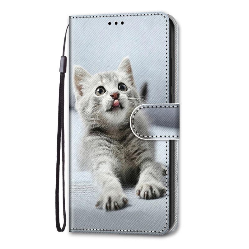 Étui Housse Samsung Galaxy S21 Plus 5g Les Plus Beaux Chats