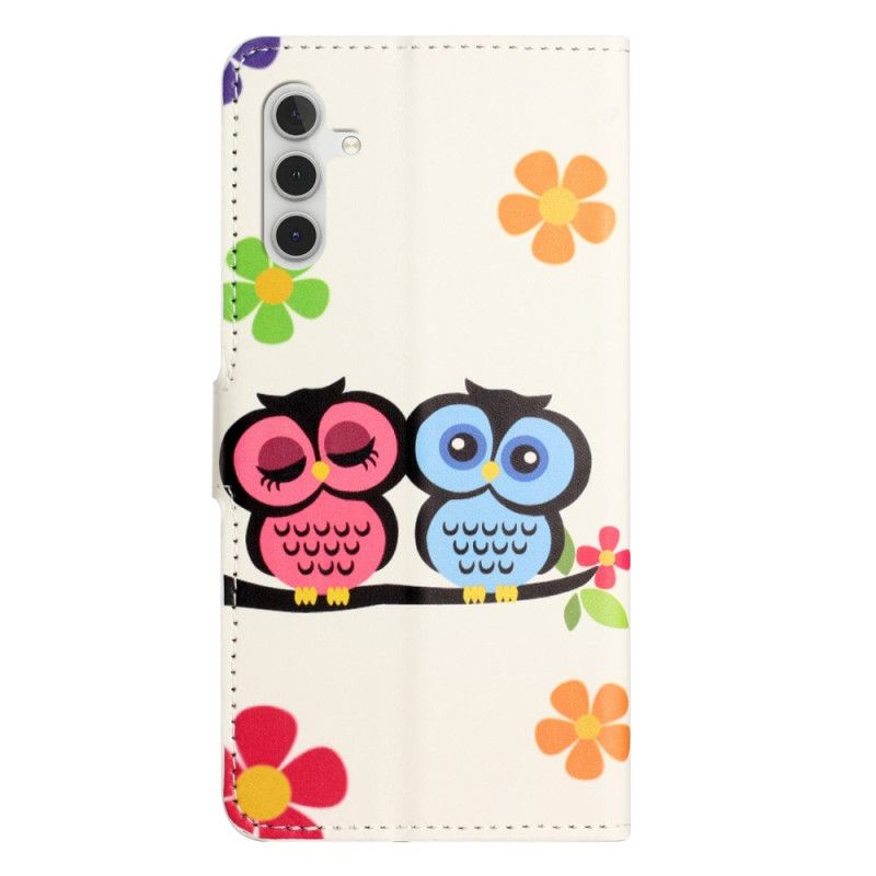 Housse Samsung Galaxy S25 FE Couple de Hiboux